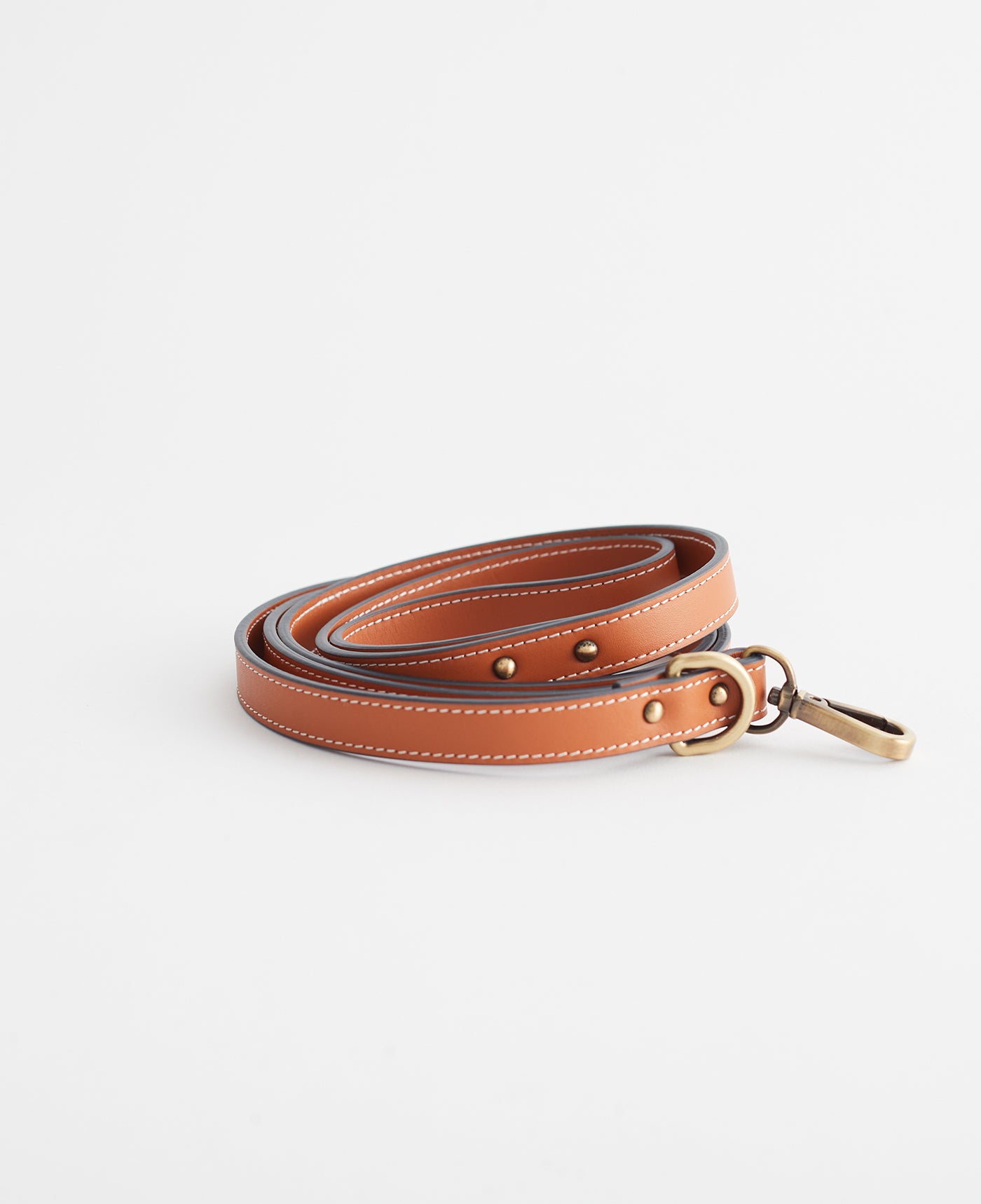 Leather Dog Lead/Leash in Tan - Size Small by The Horse®