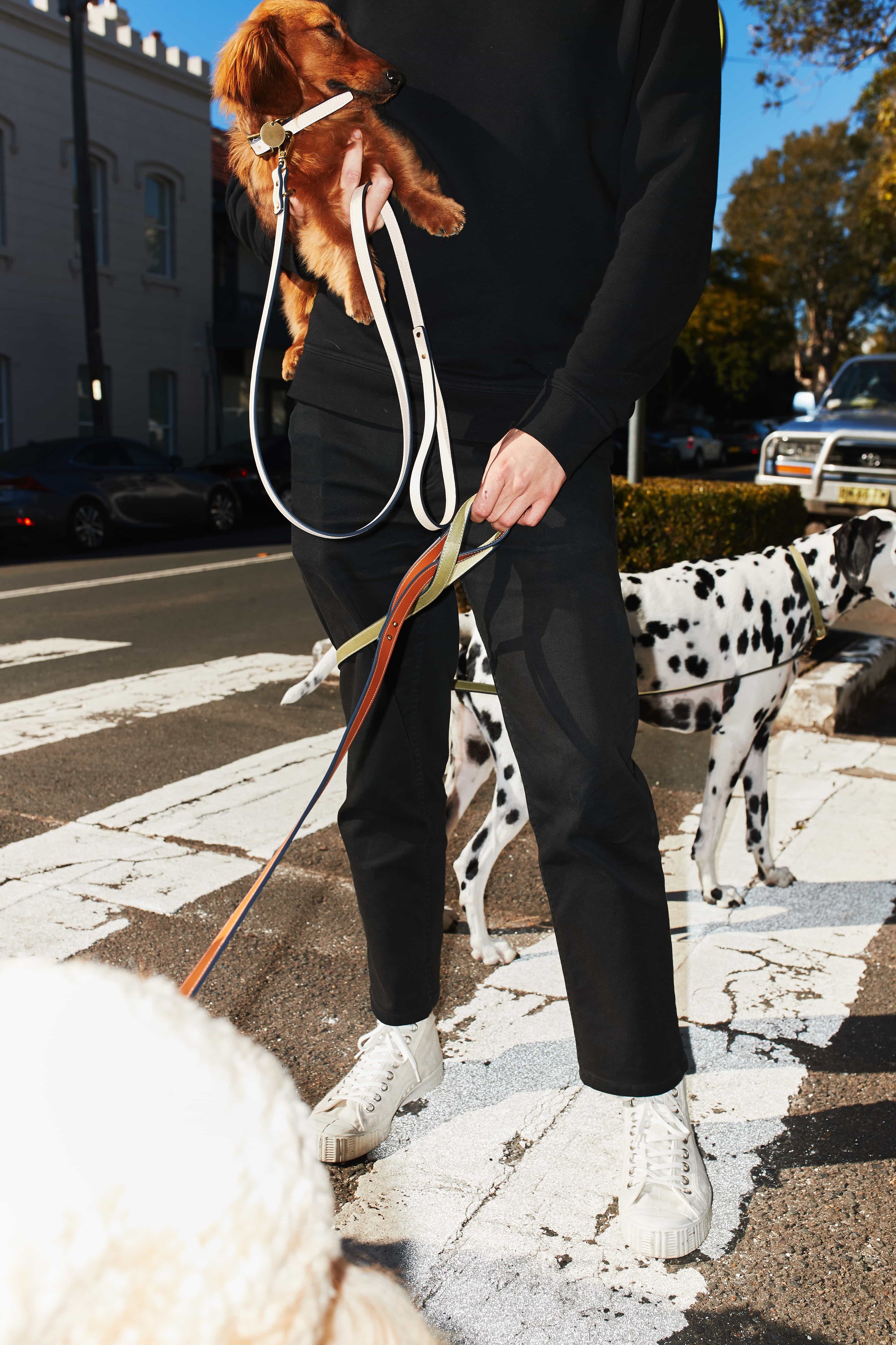 Leather Dog Lead/Leash in Natural - Size Large by The Horse