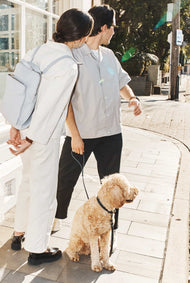 Leather Dog Lead/Leash in Black - Size Small by The Horse