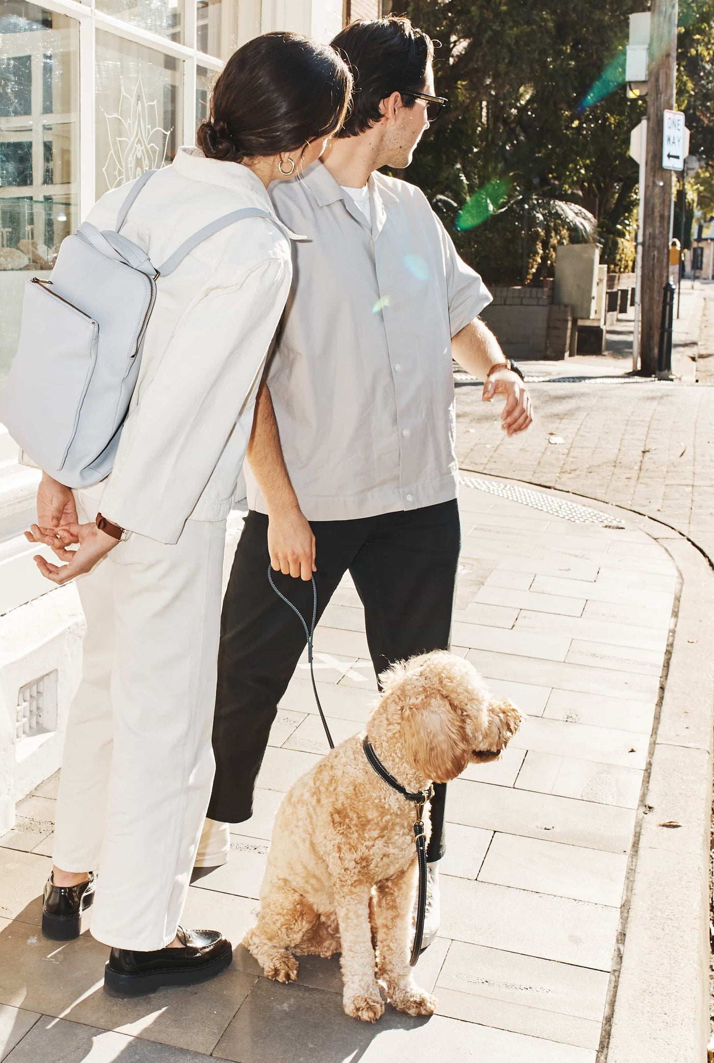 Leather Dog Lead/Leash in Black - Size Small by The Horse