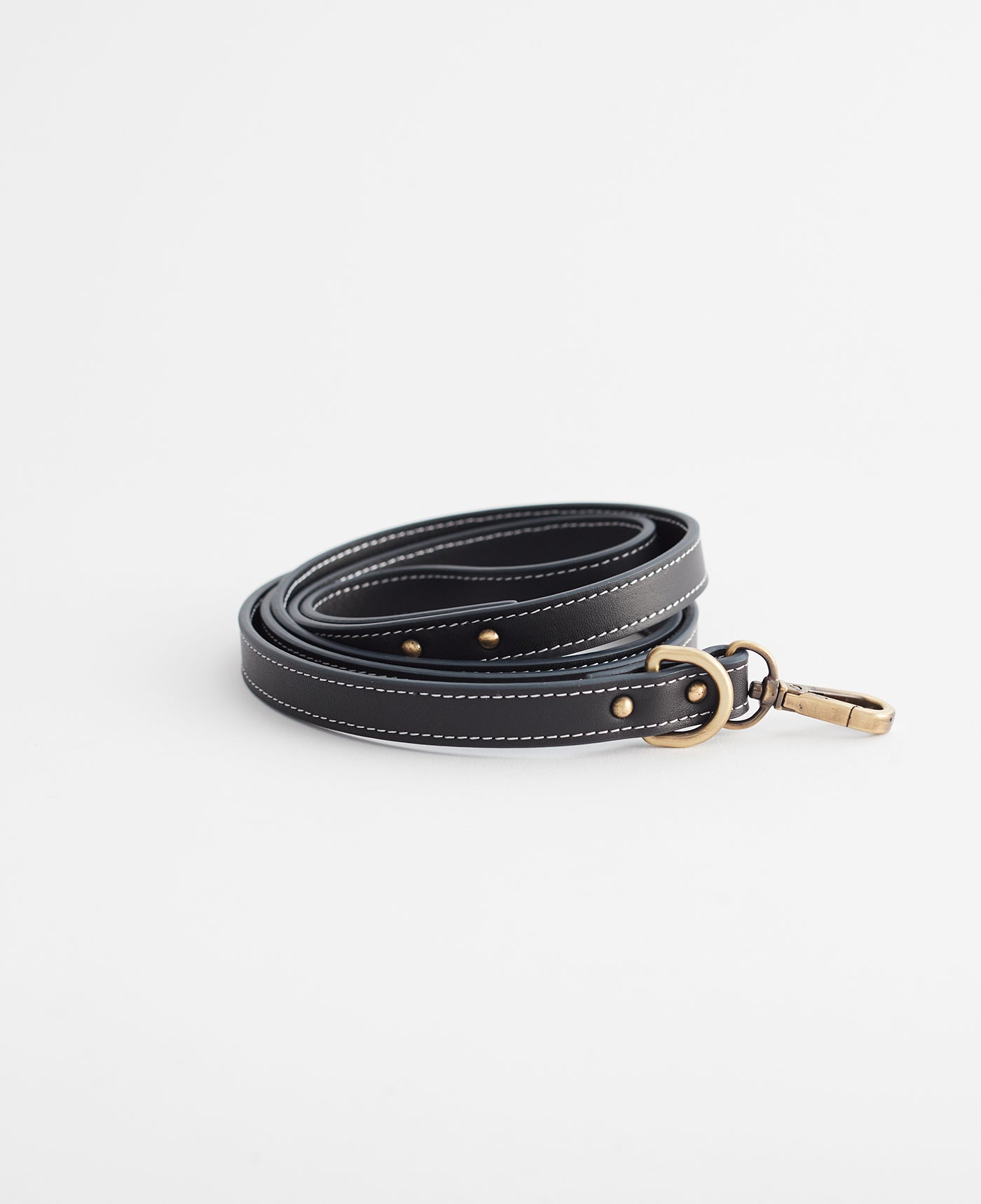 Leather Dog Lead/Leash in Black - Size Large by The Horse®