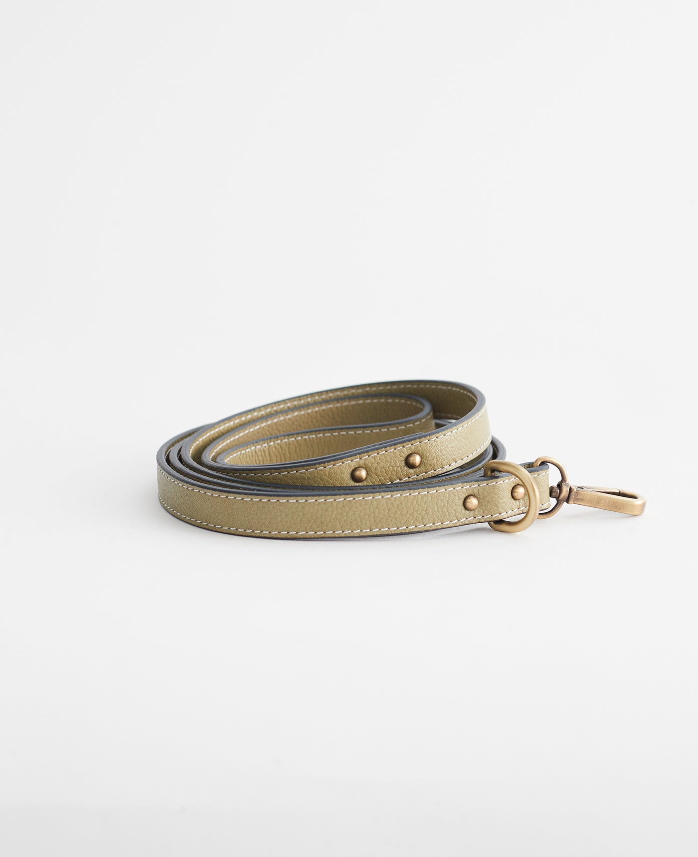Leather Dog Lead/Leash in Avocado Green - Size Small by The Horse®
