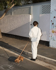 Leather Dog Lead/Leash in Tan - Size Small by The Horse