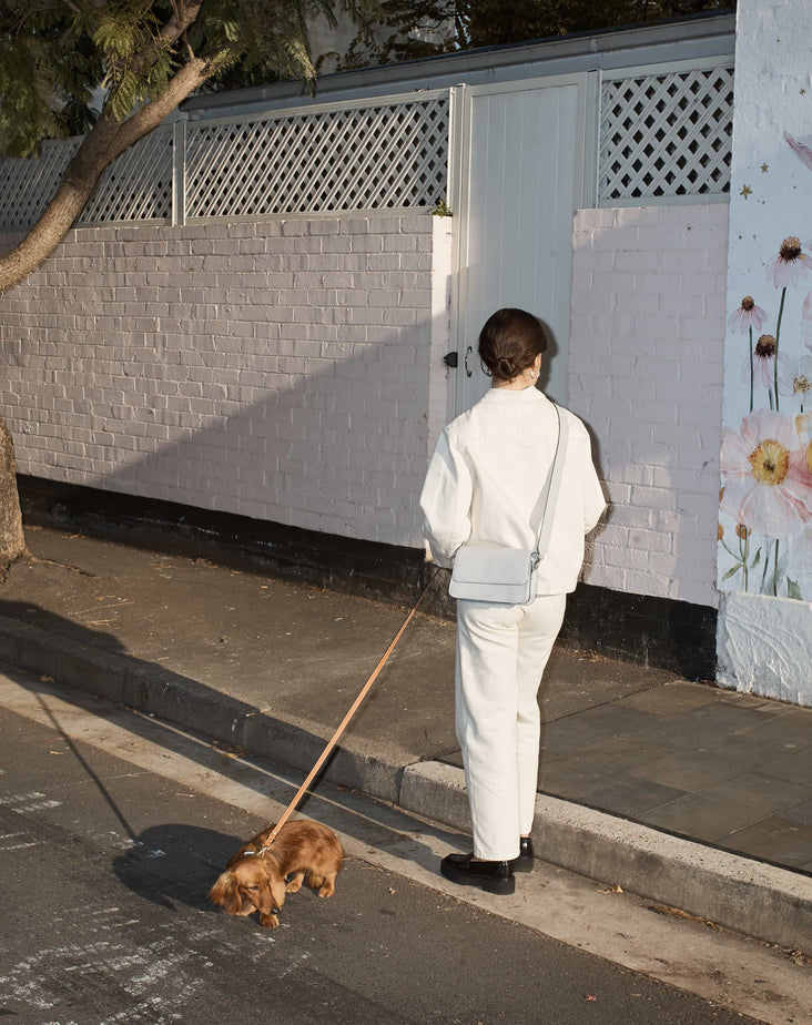 Leather Dog Lead/Leash in Tan - Size Small by The Horse